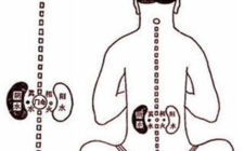 Cách chữa suy thận bằng Đông y