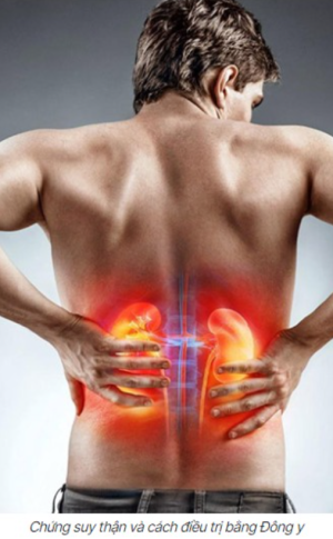 Chữa suy thận bằng Đ&ocirc;ng y an to&agrave;n v&agrave; hiệu quả