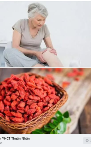 Thuốc bổ tăng cường sức khỏe cho người cao tuổi