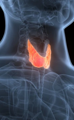  B&agrave;i thuốc Đ&ocirc;ng y trị nhiễm độc gi&aacute;p