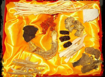​ Bài thuốc ngâm rượu hay "YẾU CỐT THỐNG DƯỢC TỬU  "