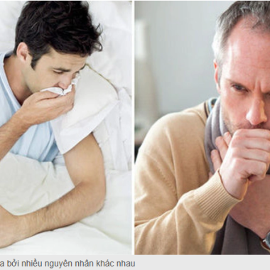 ​  B&agrave;i thuốc chữa ho do cảm lạnh   ​