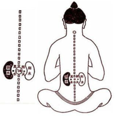 C&aacute;ch chữa suy thận bằng Đ&ocirc;ng y