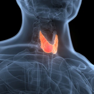  B&agrave;i thuốc Đ&ocirc;ng y trị nhiễm độc gi&aacute;p