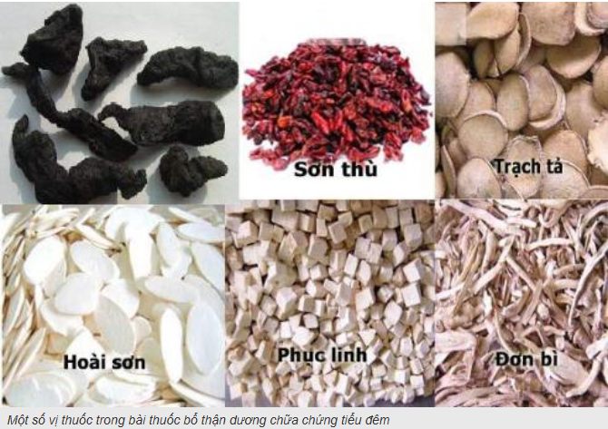 Tiểu Đêm và cách điều trị